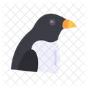 Pingüino  Icon