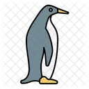 Pingüino  Icono