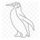 Pingüino  Icono