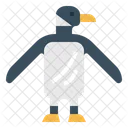 Pinguino Pajaro Animal Icon