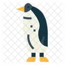 Pingüino  Icon