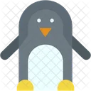 Pinguino Ornitologia Zoo Icon