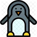 Pinguino Ornitologia Zoo Icon