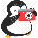 Pingüinos con cámara  Icon