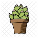 Pink And Green Cactus  Icon