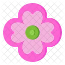 Pink Buttercup  Icon