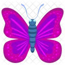 Pink Butterfly  Icon