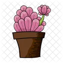 Pink Cactus  Icon