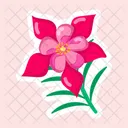 Pink Columbine  Icon