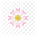 Pink Cosmos Petals Blossom Icon