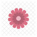 Pink Flower Flower Nature Icon