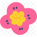 Pink Flower Bloom  Icon