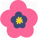 Petal Bloom Blossom Icon