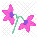 Pink Flowers  Icon