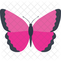 Pink Morpho Butterfly Icon