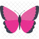 Morpho Fly Insect Icon