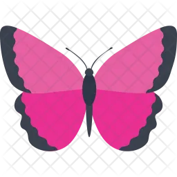 Pink Morpho Butterfly  Icon