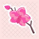 Pink Orchid  Icon