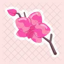 Flower Stickers Blooming Flowers Spring Flowers Icon
