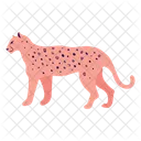 Pink Panther Jaguar Animal Icon
