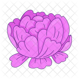 Pink peony flower  Icon