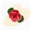 Pink rose flower  Icon