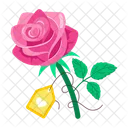 Rose Cartoon Rose Stickers Blooming Flowers Icon