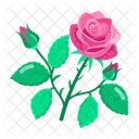 Rose Cartoon Rose Stickers Blooming Flowers Icon