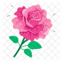 Rose Cartoon Rose Stickers Blooming Flowers Icon