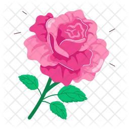 Pink Rose  Icon