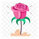 Rose Cartoon Rose Stickers Blooming Flowers Icon