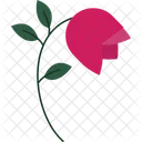 Pink Rose Romantic Bloom Soft Petals Icon