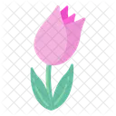 Pink Tulip  Icon