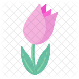 Pink Tulip  Icon