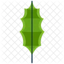Pinnate Greenery Leaf Icon