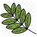 Pinnatisect Leaf Leaf Foliage Icon
