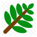 Pinnatisect leaf  Icon