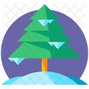 Pino Arbol Navidad Icono