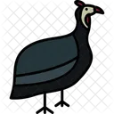Pintada  Ícone