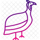Pintada  Ícone