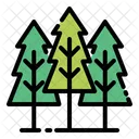 Pinus-Baum  Symbol