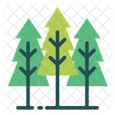 Pinus Tree Tree Nature Icon