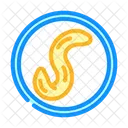 Pinworm Parasite Worm Icon