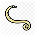Pinworm Parasite Worm Icon