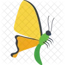 파이프덩굴 호랑나비 곤충 아이콘