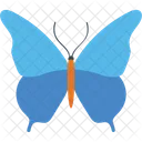 Pipevine Swallowtail Butterfly  Icon