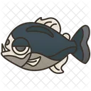 피라냐 해양문화 물고기 아이콘