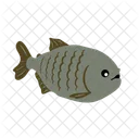 Piranha Amazon River Sea Creature Icon