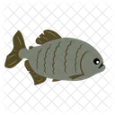Piranha Amazon River Sea Creature Icon