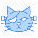 Pirate Cat Icon